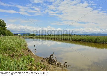 The Wetlands Of Isola Della Cona In Friuli-venezia Giulia, North East Italy