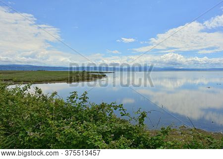 The Wetlands Of Isola Della Cona In Friuli-venezia Giulia, North East Italy