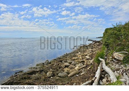 The Wetlands Of Isola Della Cona In Friuli-venezia Giulia, North East Italy