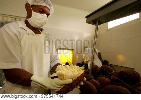 Porto Seguro, Bahia / Brazil - October 15, 2010: Production Of Cupuacu Pulp In Industry In Porto Seg