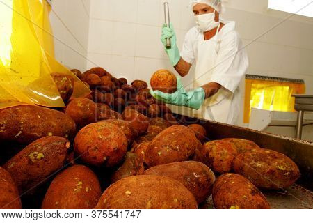 Porto Seguro, Bahia / Brazil - October 15, 2010: Production Of Cupuacu Pulp In Industry In Porto Seg