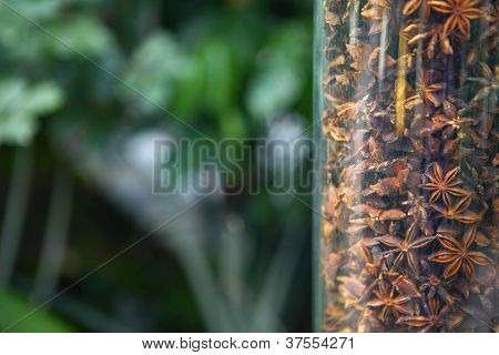 Fruits Of Star Anise
