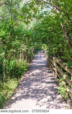 A Wooden Walking Bridge In Frick Park On A Sunny Summer Day, Pittsburgh, Pennsylvania, Usa
