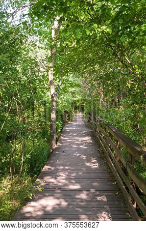 A Wooden Walking Bridge In Frick Park On A Sunny Summer Day, Pittsburgh, Pennsylvania, Usa