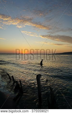 Banyuwangi, Indonesia - July 04, 2020 : A Woman Playing With The Dogs At Watudodol Beach Banyuwangi 