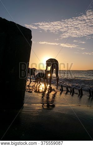 Banyuwangi, Indonesia - July 04, 2020 : A Woman Playing With The Dogs At Watudodol Beach Banyuwangi 