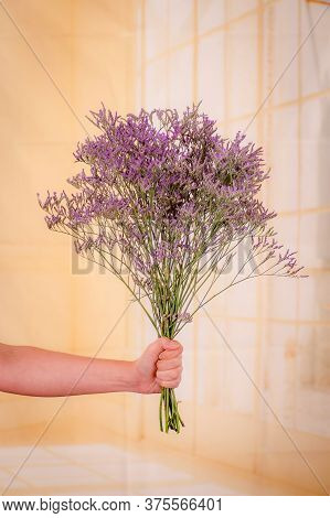 Women Hand Holding A Bouquet Of Limonium Maine Blue Foliage Variety, Studio Shot, Purple Flowers