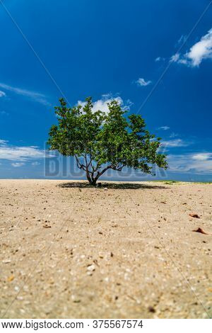 Jerman beach in Bali indonesia