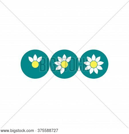 3 Flowers With Different Number Of Petals In Blue Circles. Growing Process Vector Flat Icon.
