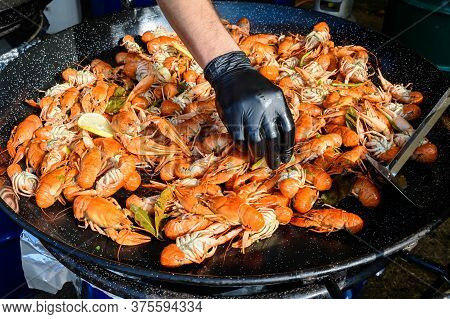Hand Of A Man Preparing And Cooking European Crayfishes Astacus Astacus With Spices Displayed For Sa
