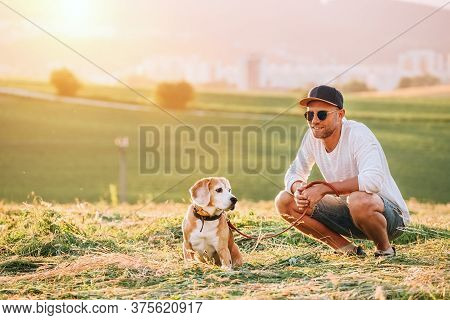 Middle-aged Man Dressed Light White Sweater And Jeans Shorts Walking With His Beagle Dog During Suns