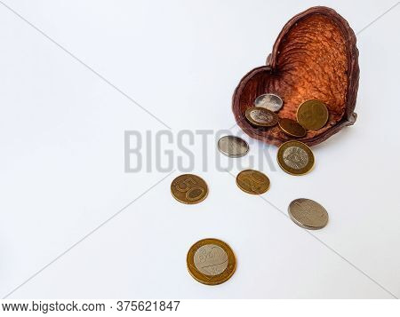 Belarusian Coins Are Scattered Near The Dryflower On A White Background.