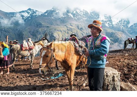 Vinicunca, Peru- October 29: Mountain Guide In Traditional Wear Holds Red Mule At High Altitude Grou