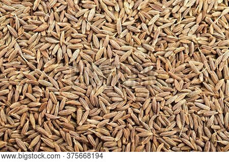 Cumin Seeds Top View Background , Cumin Seeds Background