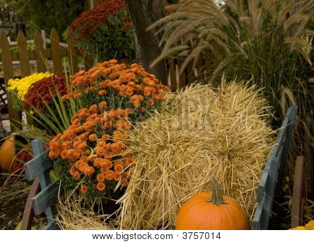 Herfst kleuren