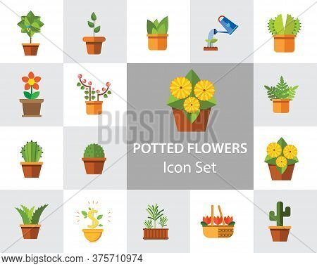Potted Flowers Icon Set. Money Tree Cactus In Pot Cactus And Spray Bottle Plant Blooming Flower Chin