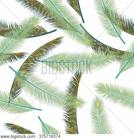 Tropical Feather Fluff Vector Seamless Ornament. Chic Fashion Print. Tribal Boho Feather Fluff Texti