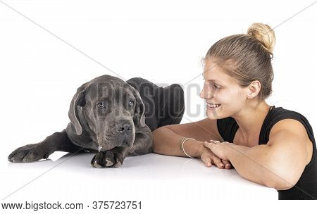 Puppy Great Dane And Woman In Front Of White Background