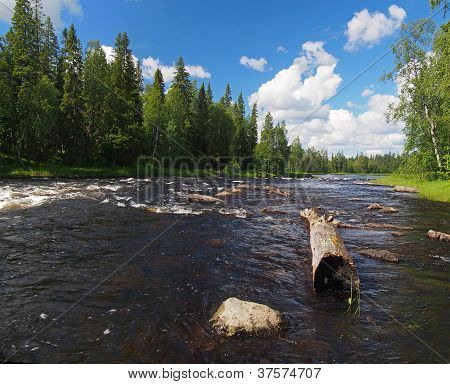 Paesaggio con il fiume ruvido