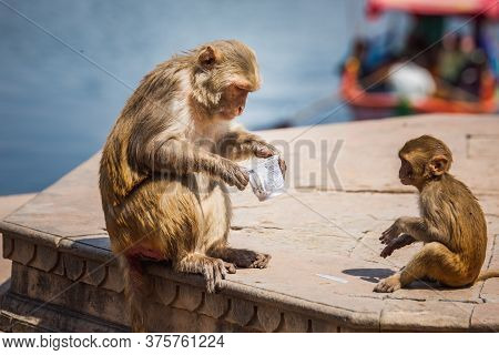 India Trip Editorial