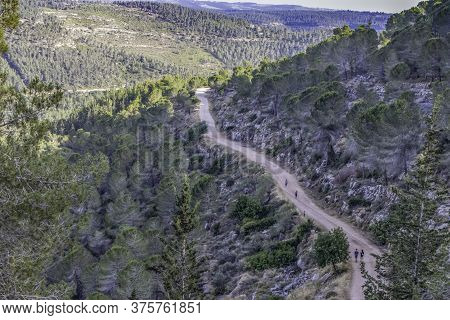 Hikers On A Forest Path In The Judea Mountains Near Jerusalem, Israel