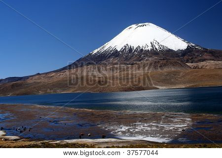 화산 Parinacota