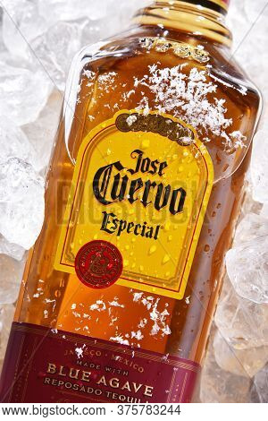 Bottle Of Tequila Jose Cuervo In Crushed Ice