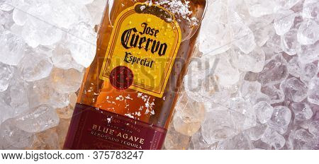 Bottle Of Tequila Jose Cuervo In Crushed Ice