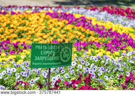 Large Flower Bed With Flowers In The Resort Park Of The City