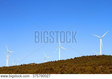 Wind Farm For The Generation Of Clean Energy In A Natural Environment