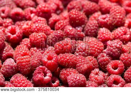 Macro Photo Of Fresh Raspberries. Background Patern Of Sweet Red Raspberries.
