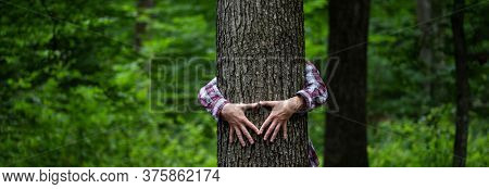 woman hand embracing a tree in green forest - nature loving, fight global warming, save planet earth