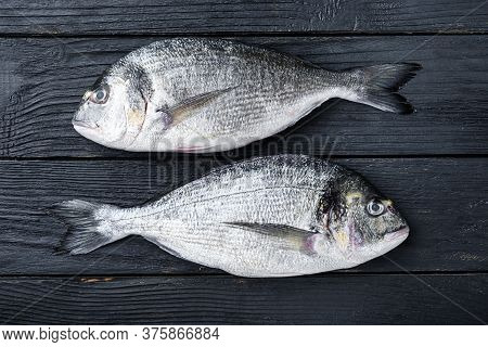 Raw Dorado Or Sea Bream Fish Ob Black Wooden Background Top View.