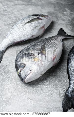 Whole Dorado Sea Bream Fish With Herbs For Grill Over Textured Grey Background  Side View Space For
