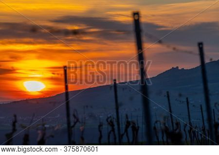 Sunrise in Palava with Devicky ruins, Southern Moravia, Czech Republic