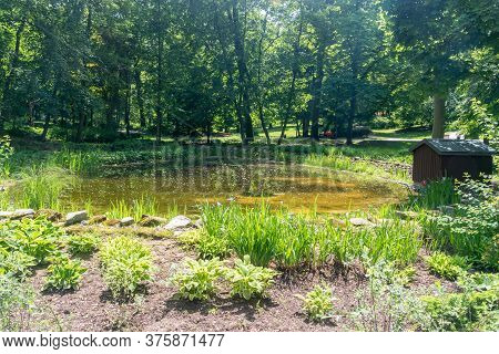 Pond At Saxon Garden In Lublin, Poland.