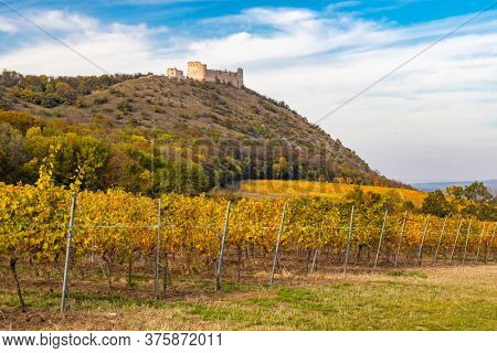 ruins of Devicky Castle with vineyards, Czech Republic