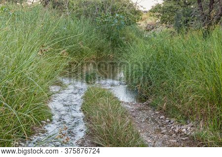 Road To The Ongongo Camping Site In The Kaokoveld Region Of Namibia