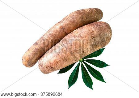 Cassava Tubers Fresh On Leaves Isolated White, Pile Cassava Manioc In Top View, Yucca Root For Flour