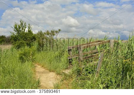 A Small Footpath And The Strart Of A Raised Boardwalk In The Wetlands Of Isola Della Cona In Friuli-
