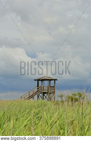 A Wooden Wildlife Observation Tower In The Wetlands Of Isola Della Cona In Friuli-venezia Giulia, No
