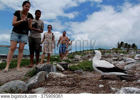 Caravelas, Bahia / Brazil - October 22, 2012: Tourists Visit Island In Abrolhos Marine Park In South