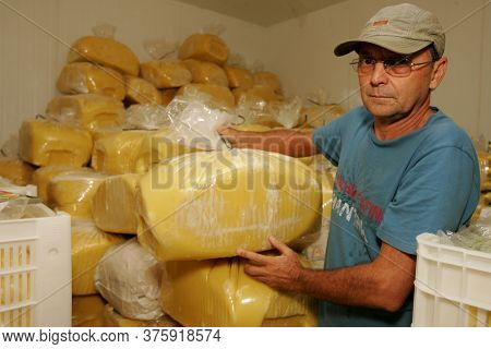 Porto Seguro, Bahia / Brazil - October 15, 2010: Production Of Cupuacu Pulp In Industry In The City 