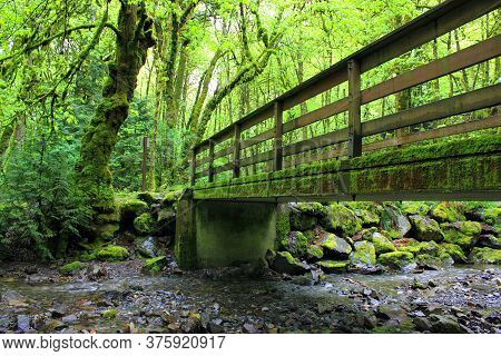 In Goldstream Provincial Park On Vancouver Island Bc A Moss Covered Bridge Crosses Over A Creek With