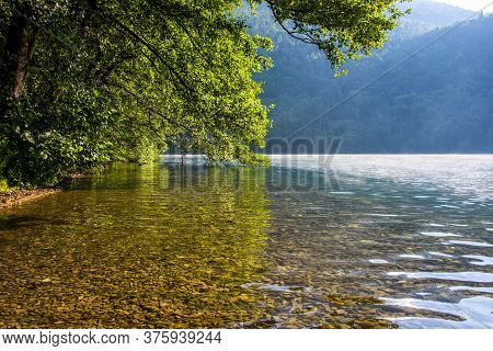 Trees Are Reflected On Lake Levico With The Mountains In The Background In Trento, Italy
