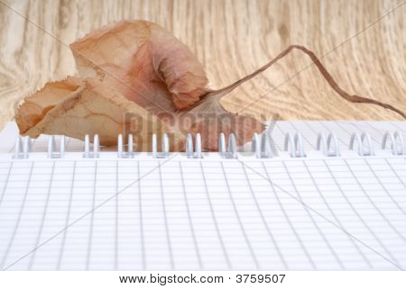 Blatt