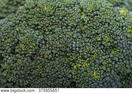 Close up of fresh green broccoli texture
