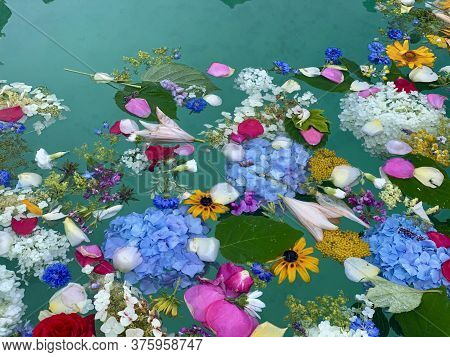 Flower Heads And Green Leaves In Water Of Fountain At Jugendfest In Brugg Switzerland.