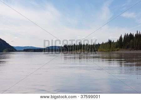 Colline di Taiga a Yukon River vicino a Dawson City