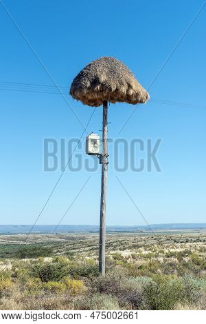 A Communal Bird Nest On Top Of A Telephone Pole Near Prieska In The Northern Cape Province. A Teleco